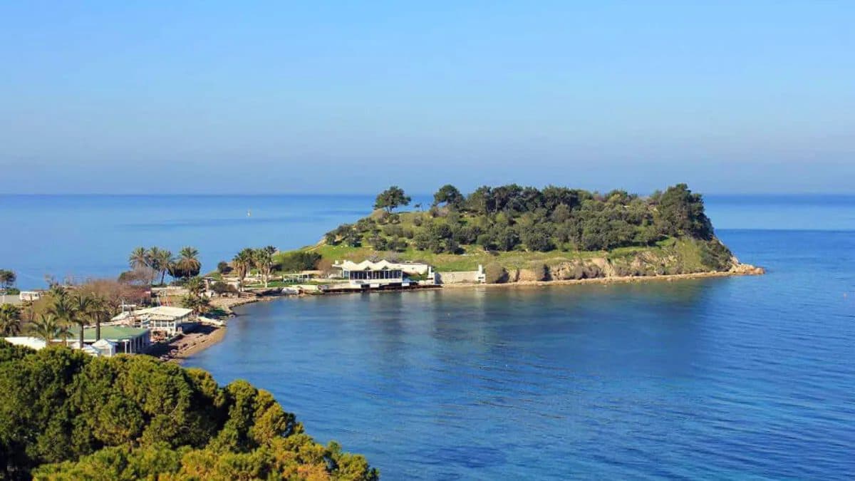 Yılancı Burnu (Snake Cape) and Jade Beach south of Kuşadası, a pine-covered headland dropping into glassy turquoise water with a small private beach and beach club at its base, ten minutes by taxi from the cruise port