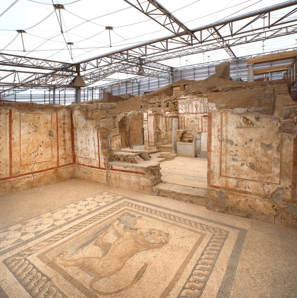 Roman lion mosaic and painted wall frescoes inside a room of the Ephesus Terrace Houses