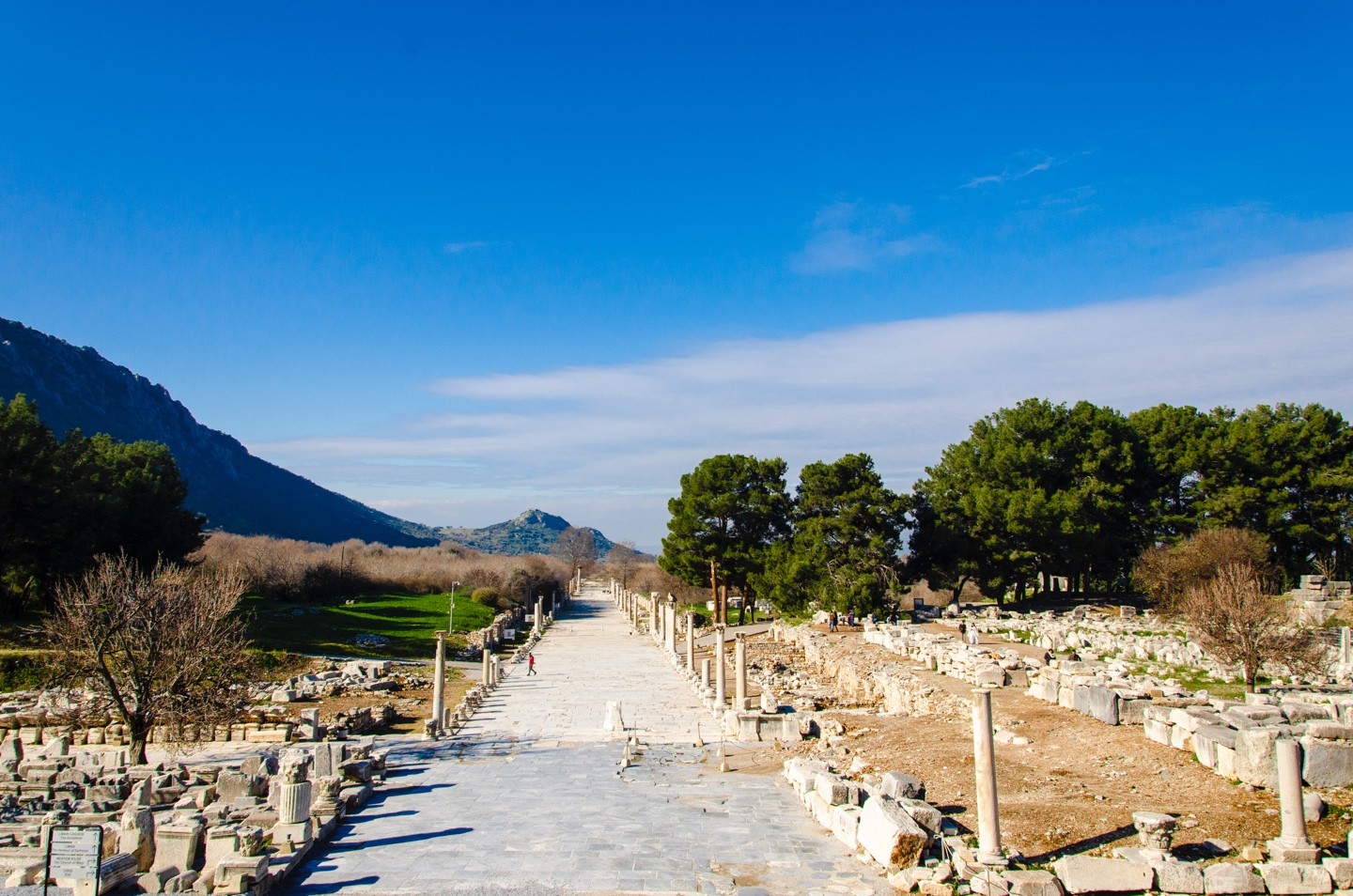 Kusadasi Port to Ephesus Ruins, Temple of Artemis